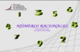 NÚMEROS RACIONALES Actualización junio 2010 Prof: Guiomar Mora de Reyes.
