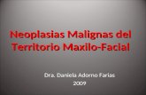 Dra. Daniela Adorno Farias 2009 Neoplasias Malignas del Territorio Maxilo-Facial.