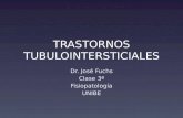 TRASTORNOS TUBULOINTERSTICIALES Dr. José Fuchs Clase 3ª Fisiopatología UNIBE.