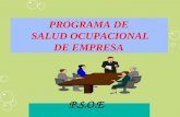 PROGRAMA DE SALUD OCUPACIONAL DE EMPRESA P.S.O.E.