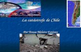 La catástrofe de Chile Por Teresa Meleiro Estévez.