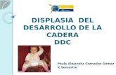 DISPLASIA DEL DESARROLLO DE LA CADERA DDC Paula Alejandra Granados Gómez X Semestre.
