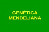 GENÉTICA MENDELIANA. 1. Historia 2. Conceptos básicos 3. Notación genética 4. Gregor Mendel. Leyes de Mendel 5. Retrocruzamientos 6. Alelismo múltiple.