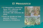 El Mesozoico  El Mesozoico comienza hace 251 millones de años y perdurará durante 180 millones de años.  Este se divide en tres épocas: Triásico, Jurásico.