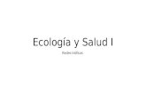 Ecología y Salud I Redes tróficas. ECOLOGÍA Es el estudio científico de las relaciones entre los organismos y el ambiente Interacciones de los organismos.