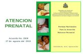 República de Honduras Secretaría de Salud Subsecretaria de Riesgos Poblacionales Dirección General de Promoción de la Salud Departamento de Salud Integral.