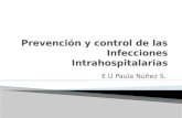 E.U Paula Núñez S.. Proceso infeccioso localizado o generalizado, de origen endógeno (propio del paciente) o exógeno (adquirido) que se produce por la.
