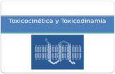 Toxicocinética y Toxicodinamia. Toxicocinética Sustancia Eliminación presistémica Distribución desde Excreción Desintoxicación Absorción Distribución.