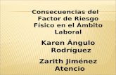 Consecuencias del Factor de Riesgo Físico en el Ámbito Laboral Karen Ángulo Rodríguez Zarith Jiménez Atencio Glories Zuluaga López.