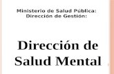 Dirección de Salud Mental Ministerio de Salud Pública: Dirección de Gestión: