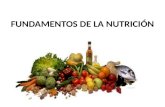 FUNDAMENTOS DE LA NUTRICIÓN. Proceso biológico de asimilación de los nutrientes para ser metabolizados. Es el proceso de ingestión de los alimento por.