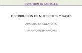 DISTRIBUCIÓN DE NUTRIENTES Y GASES APARATO CIRCULATORIO APARATO RESPIRATORIO NUTRICIÓN EN ANIMALES: