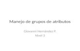 Manejo de grupos de atributos Giovanni Hernández P. Nivel 3.
