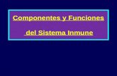 Componentes y Funciones del Sistema Inmune. Bibliografía básica correspondiente a la respuesta inmunitaria - Curtis, H y otros. “Biología”. Buenos Aires,