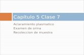 Aclaramiento plasmatico Examen de orina Recoleccion de muestra Capítulo 5 Clase 7.