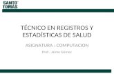 TÉCNICO EN REGISTROS Y ESTADÍSTICAS DE SALUD ASIGNATURA : COMPUTACION Prof.: Jaime Gómez.