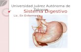 Sistema Digestivo Lic. En Enfermería Universidad Juárez Autónoma de Tabasco.