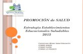 DIRECCIÓN DE SALUD MUNICIPAL PROMOCIÓN de SALUD Estrategia Establecimientos Educacionales Saludables 2013 Comisiones Mixtas Salud Educación COMSE ANDES.