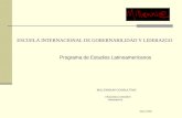 ESCUELA INTERNACIONAL DE GOBERNABILIDAD Y LIDERAZGO Programa de Estudios Latinoamericanos MILLENNIUM CONSULTING FRANCESCO VINCENTI PRESIDENTE Marzo 2003.