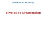 Niveles de Organizacion Introduccion a Ecologia. Organismo Un ser vivo Un ciervo.