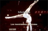 Miología Los movimientos corporales. Miología Miología.