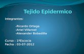 Integrantes: -Ricardo Ortega -Ariel Villaroel -Alexander Bobadilla Curso : 1ºEscocia Fecha : 03-07-2012.