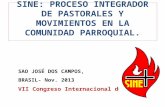 SINE: PROCESO INTEGRADOR DE PASTORALES Y MOVIMIENTOS EN LA COMUNIDAD PARROQUIAL. SAO JOSÉ DOS CAMPOS, BRASIL- Nov. 2013 VII Congreso Internacional de.
