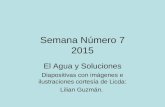 Semana Número 7 2015 El Agua y Soluciones Diapositivas con imágenes e ilustraciones cortesía de Licda: Lilian Guzmán.
