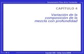 Copyright CIED - Código Curso 325006 IV - 1 Caracterización Física de los Yacimientos Variación de la composición de la mezcla con profundidad CAPÍTULO.
