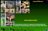 1  Introducción Convención sobre el Comercio Internacional de Especies Amenazadas de Fauna y Flora Silvestres © Derechos de autor Secretaría.