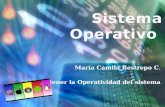 María Camila Restrepo C. Mantener la Operatividad del sistema.