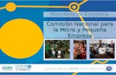 Ministerio de Economía Comisión Nacional para la Micro y Pequeña Empresa.