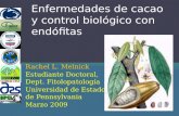 Enfermedades de cacao y control biológico con endófitas Rachel L. Melnick Estudiante Doctoral, Dept. Fitolopatología Universidad de Estado de Pennsylvania.