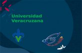 Universidad Veracruzana. ¿Què es el Cess? Es una dependencia integrada por un grupo multiprofesional que cumple con las funciones sustantivas de la Universidad.