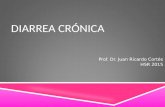 DIARREA CRÓNICA Prof. Dr. Juan Ricardo Cortés HSR 2015.