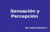 Sensación y Percepción Dra. Patricia Marcial V.. LAS SENSACIONES. Son experiencias de la estimulación sensorial, por que excitan los sentidos ( Vista,