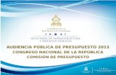 AUDIENCIA PÚBLICA DE PRESUPUESTO 2015 CONGRESO NACIONAL DE LA REPÚBLICA COMISIÓN DE PRESUPUESTO.