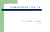 SISTEMA DE PENSIONES Fernando Pino Molina 2014 1.