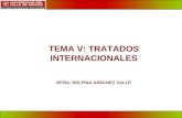 1 TEMA V: TRATADOS INTERNACIONALES MTRA. DELFINA SÁNCHEZ VALLE.