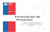 ERIKA SAAVEDRA SEBALD UNIDAD DE GESTIÓN CONCURSOS FONDECYT Formulación de Proyectos.