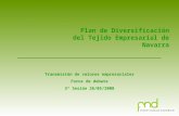 Plan de Diversificación del Tejido Empresarial de Navarra Transmisión de valores empresariales Foros de debate 3ª Sesión 26/05/2008.