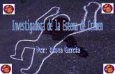 Investigadora de la escena de crimen era uno de los sueños que yo tenia desde pequeña. Empecé a ver el programa CSI: Miami y me encanto como los investigadores.