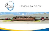AVIGM SA DE CV. Misión Elaborar y proveer productos derivados del huevo, con la mejor calidad e inocuidad, haciendo uso de tecnología de vanguardia para.