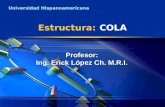 Universidad Hispanoamericana Estructura: COLA Profesor: Ing. Erick López Ch. M.R.I.