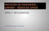 FACULTAD DE INGENIERIA – UNMDP – REDES DE DATOS DNS Y SEGURIDAD ALUMNO: César Mendoza.