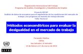 Métodos econométricos para evaluar la desigualdad en el mercado de trabajo Fernando Medina CEPAL San Salvador, El Salvador 25 de febrero al 1 de marzo.