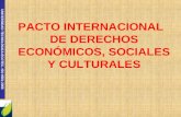 UNIVERSIDAD TECNOLÓGICA ECOTEC. ISO 9001:2008 PACTO INTERNACIONAL DE DERECHOS ECONÓMICOS, SOCIALES Y CULTURALES.