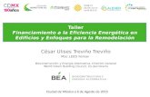Taller Financiamiento a la Eficiencia Energética en Edificios y Enfoques para la Remodelación César Ulises Treviño Treviño MSc LEED Fellow Bioconstrucción.