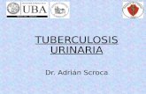 TUBERCULOSIS URINARIA Dr. Adrián Scroca. HISTORIAHISTORIA En 1882 Robert Koch anuncio la patogenia de la enfermedad desarrollada como los postulados de.