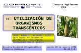99- UTILIZACIÓN DE ORGANISMOS TRANSGÉNICOS Escuela Nacional de Agricultura “Roberto Quiñónez” Jueves 28 de agosto 2008 11:00 P.M. JOSE ROBERTO ALEGRIA.
